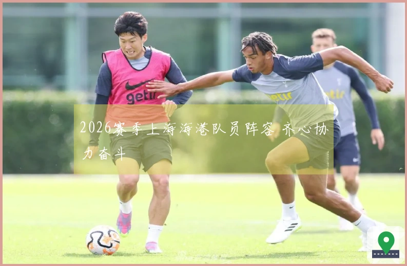 2026赛季上海海港队员阵容 齐心协力奋斗