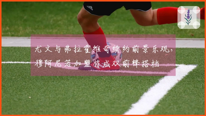 尤文与弗拉霍维奇续约前景乐观，穆阿尼若加盟将成双前锋搭档