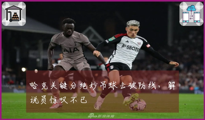 哈克关键分绝妙吊球击破防线，解说员惊叹不已